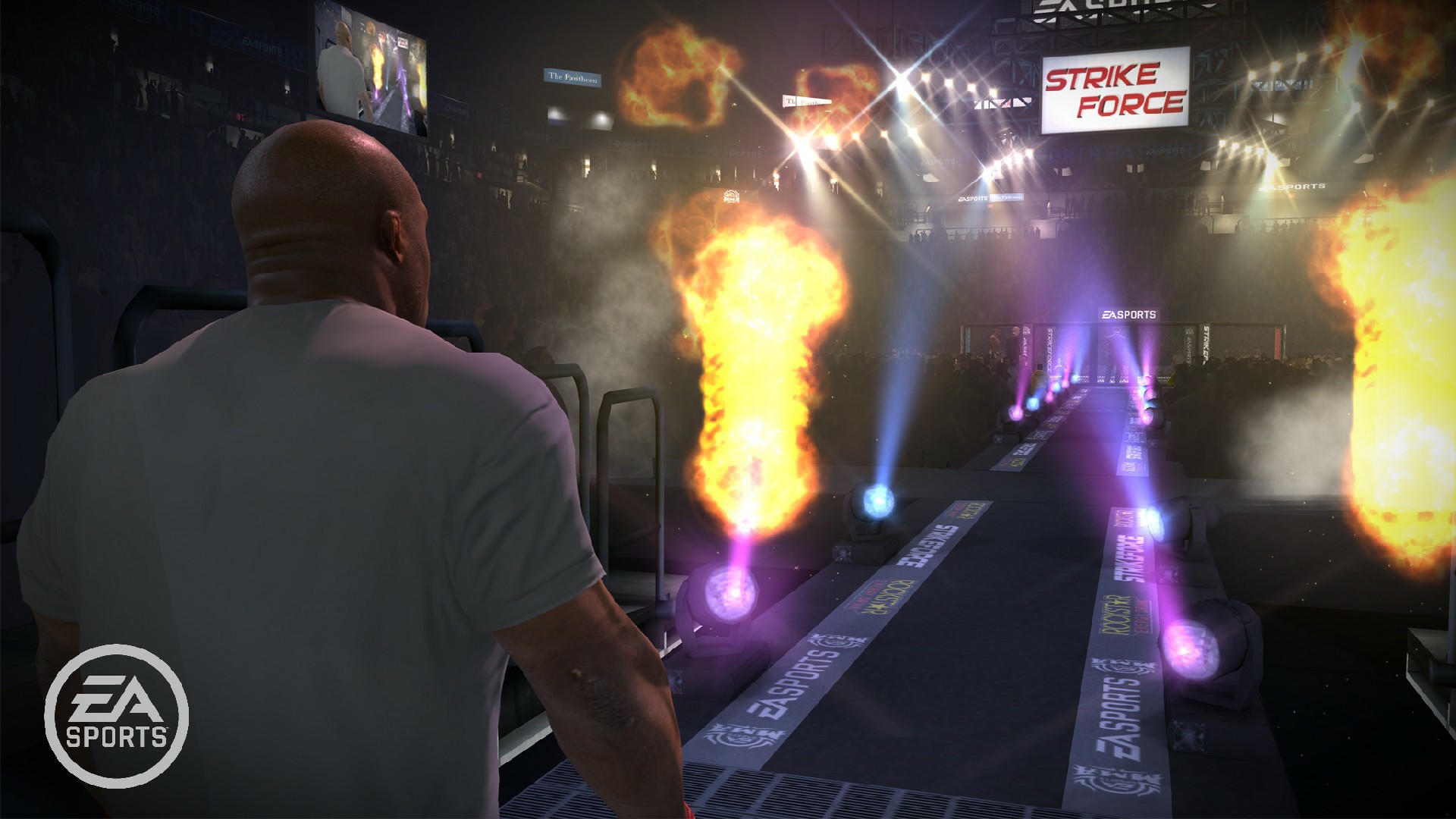 EA Sports MMA